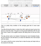 101 Two Point Plays: Creative Play Calls from the 2020 Season freeshipping - Throw Deep Publishing