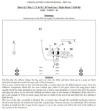 Every Play Revealed - Carolina Offense vs Denver Defense in Super Bowl 50 freeshipping - Throw Deep Publishing