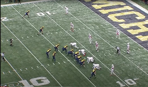 Michigan Gadget Plays and Wrinkles from the Playbook