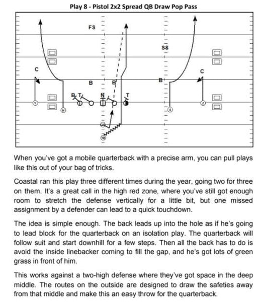 101 Red Zone Plays – Throw Deep Publishing