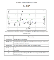 The Surface to Air System Playbook